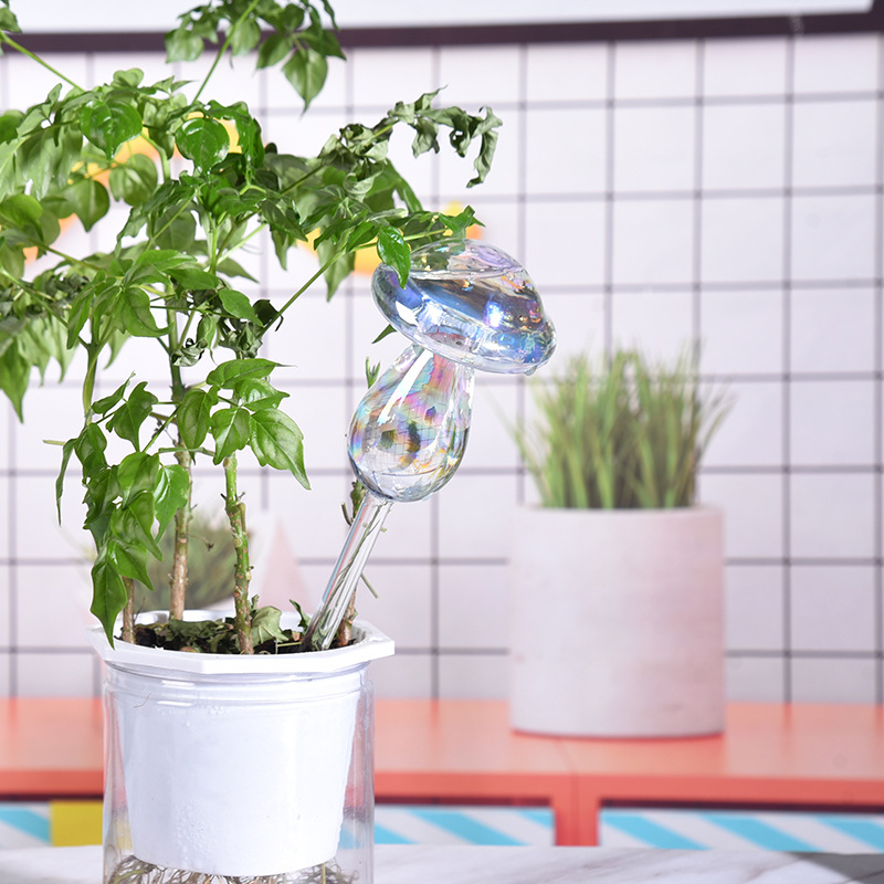 1/2 Stuks Glazen Stro Automati - Yoocaa Smart Garden recensie en prijs