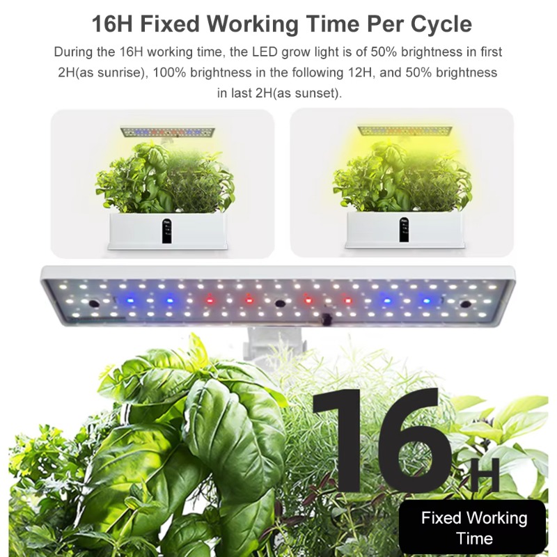 9 Pods Smart Hydroponics Kweek - Smart Garden Is recensie en prijs