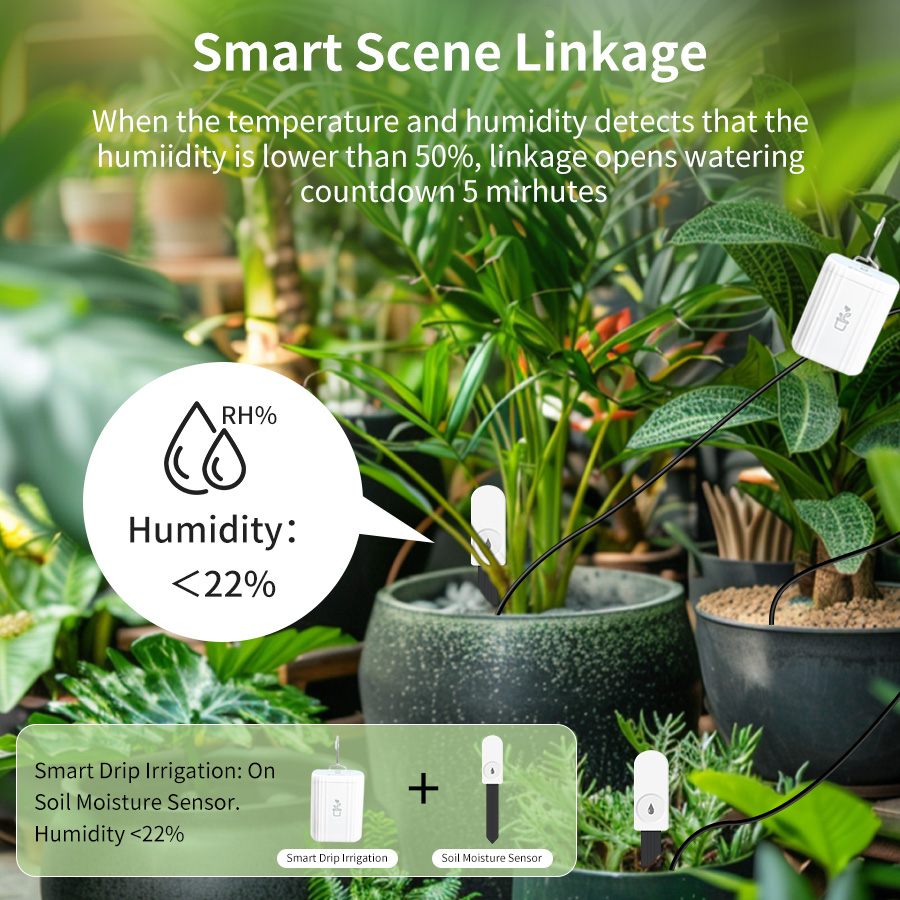 Slimme Zigbee 3.0 Bodemtester  - Smart Garden Sensors recensie en prijs