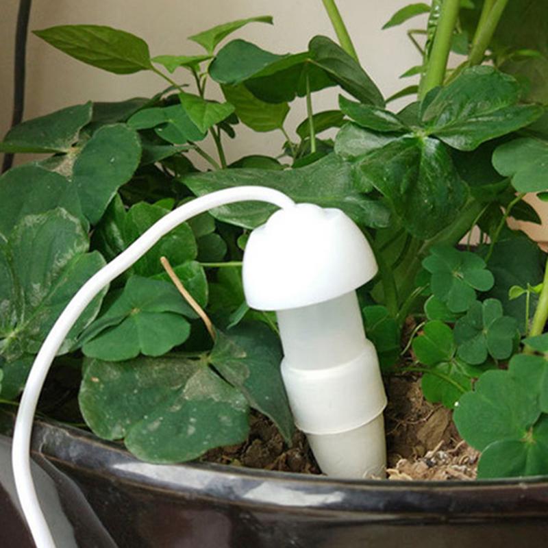 Plant Automatisch Besproeiings - Yoocaa Smart Garden recensie en prijs